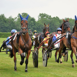 Courses de Chevaux