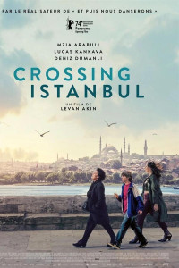 Crossing Istanbul